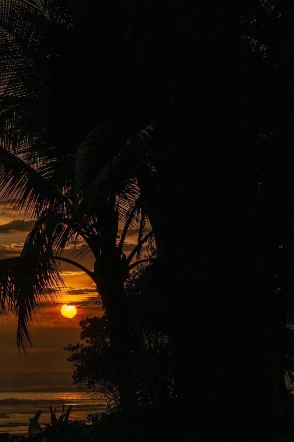 Soul Sync Sanctuary Formally Hacienda La Moringa Apartment Playa Hermosa  Bagian luar foto