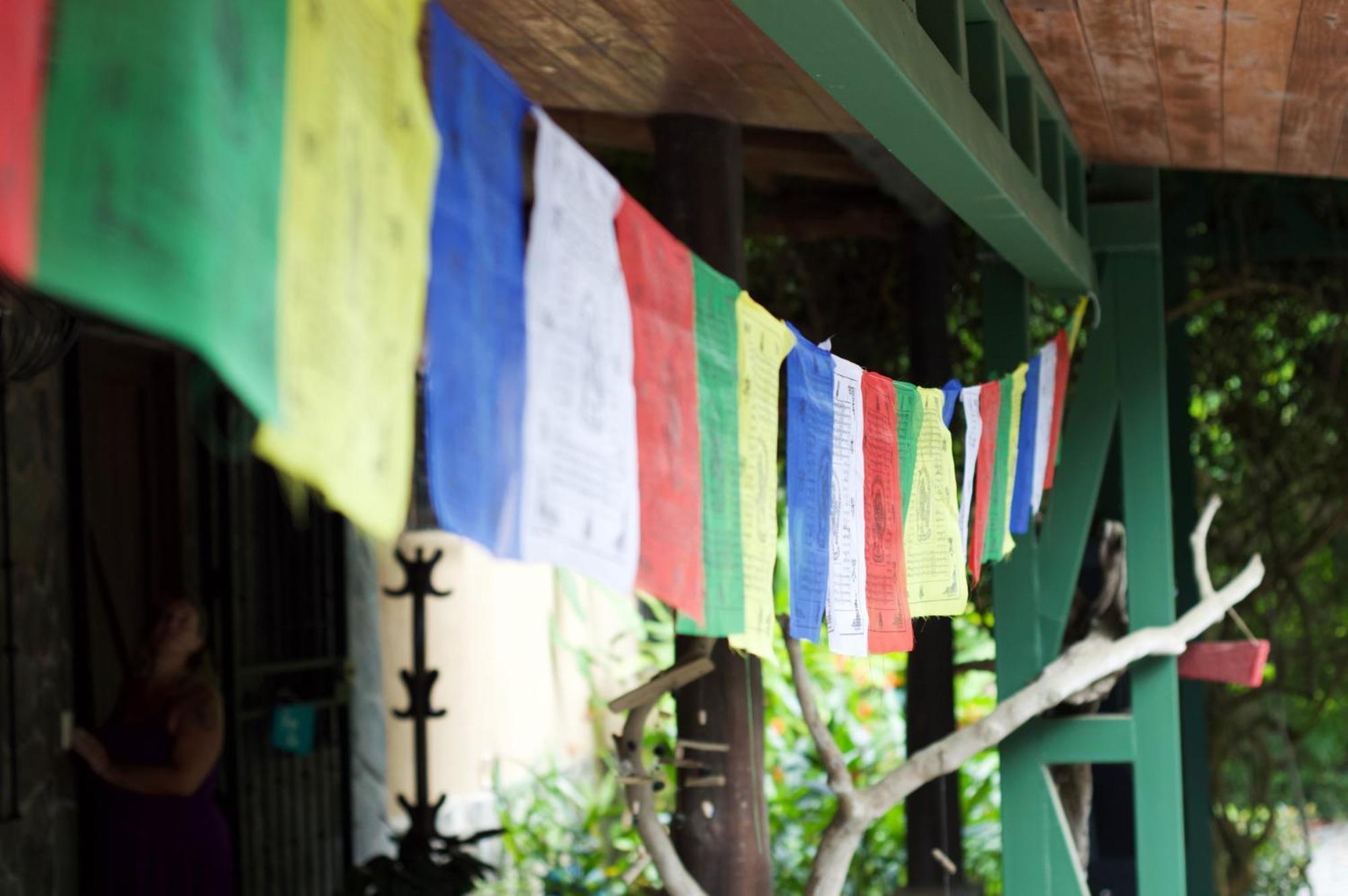 Soul Sync Sanctuary Formally Hacienda La Moringa Apartment Playa Hermosa  Bagian luar foto